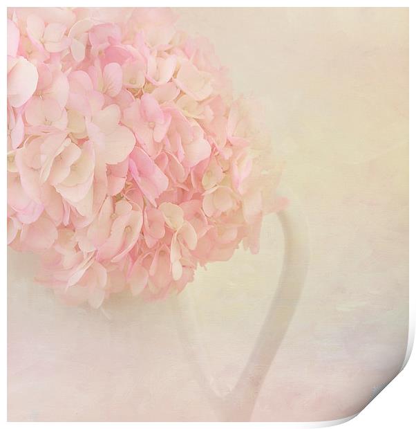 Pink Hydrangea Flowers Print by Kim Hojnacki