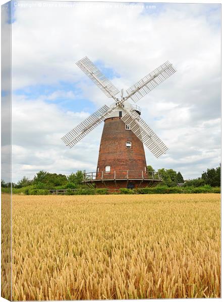 Thaxted Windmill Essex Canvas Print by Diana Mower
