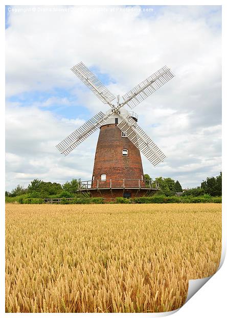 Thaxted Windmill Essex Print by Diana Mower