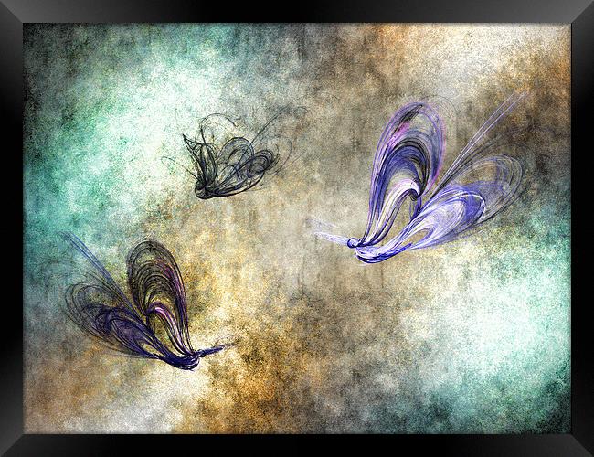 Flight of the butterfly Framed Print by Sharon Lisa Clarke