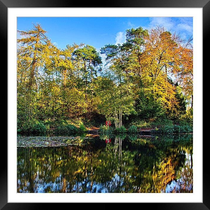 Autumn colours Framed Mounted Print by Mark Bunning