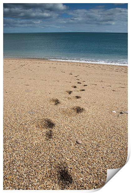 Footsteps Print by Phil Wareham