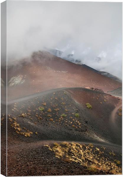 Mount Etna Canvas Print by David Tinsley