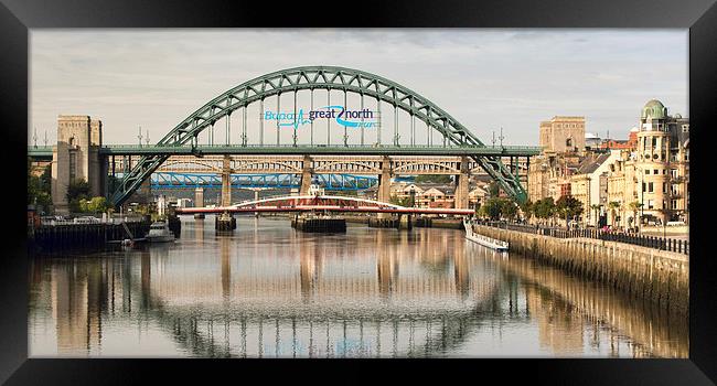 Newcastle Bridges Framed Print by Ray Pritchard
