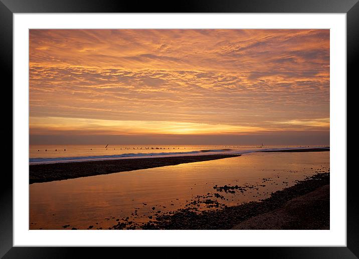 Morning Glory Framed Mounted Print by Robert Geldard