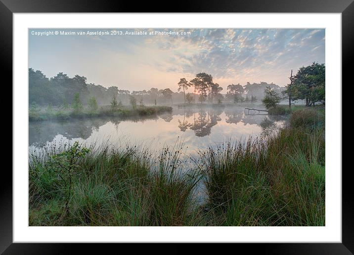 Summer Morning Framed Mounted Print by Maxim van Asseldonk