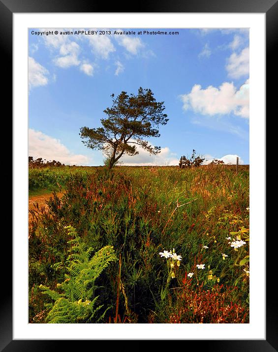 WILD FLOWERS AND TREE PORTESHAM Framed Mounted Print by austin APPLEBY