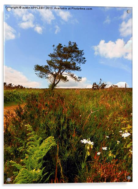 WILD FLOWERS AND TREE PORTESHAM Acrylic by austin APPLEBY