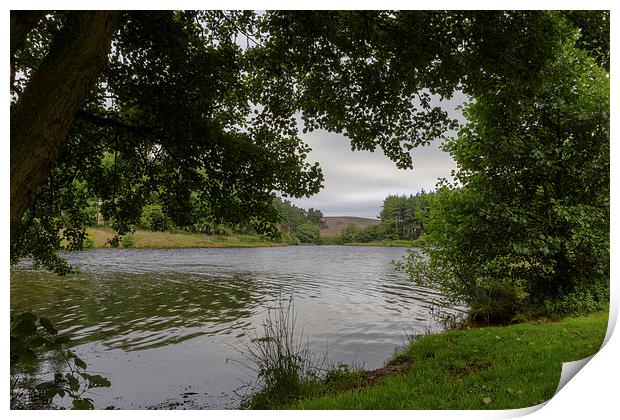 Cod Beck Reservoir Print by keith sayer