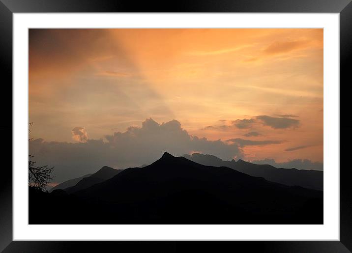 Good Morning Framed Mounted Print by