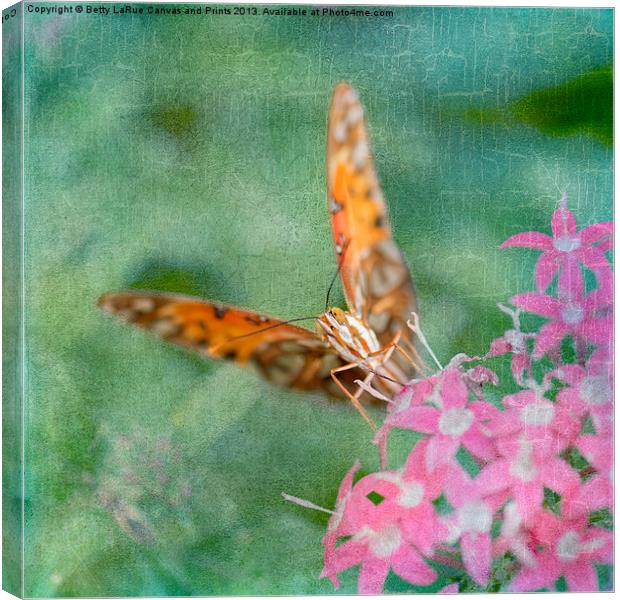 Summer Butterfly Canvas Print by Betty LaRue
