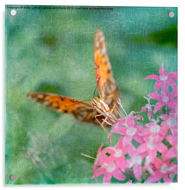 Summer Butterfly Acrylic by Betty LaRue