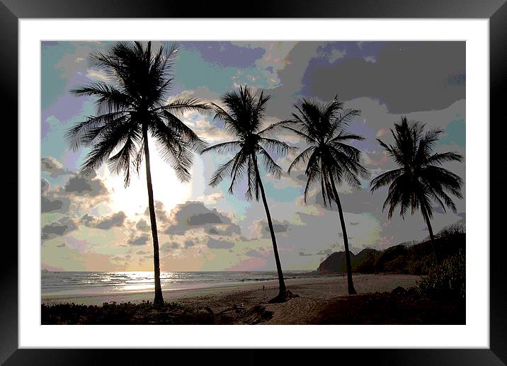 Stand of Palms Posterised Framed Mounted Print by james balzano, jr.