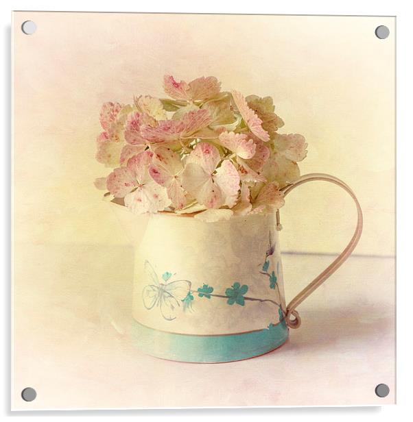 Pink Hydrangea Acrylic by Sandra Pledger