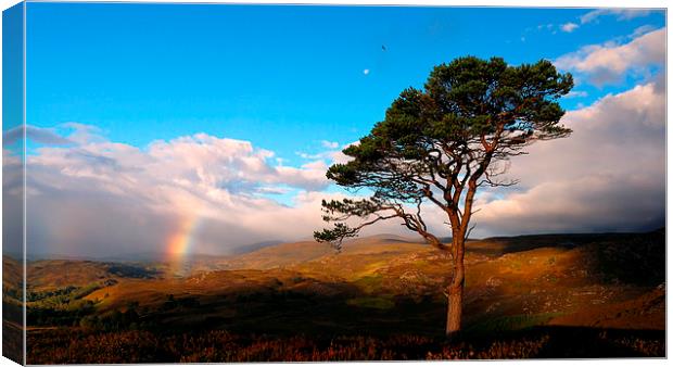 Caledonian colours Canvas Print by Macrae Images