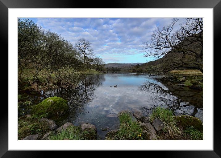 Rydal Water Spring Framed Mounted Print by John Hare