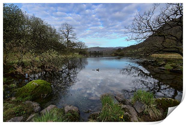 Rydal Water Spring Print by John Hare