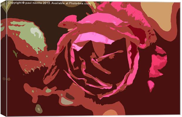 rose Canvas Print by paul neville