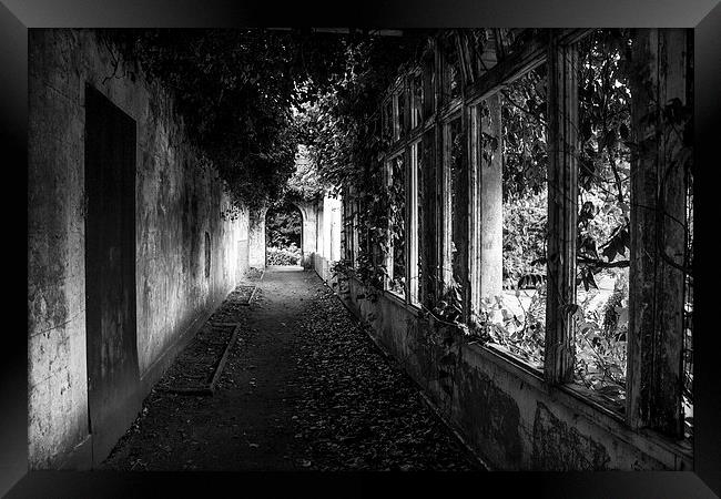 Corridor through the past Framed Print by Paul Madden
