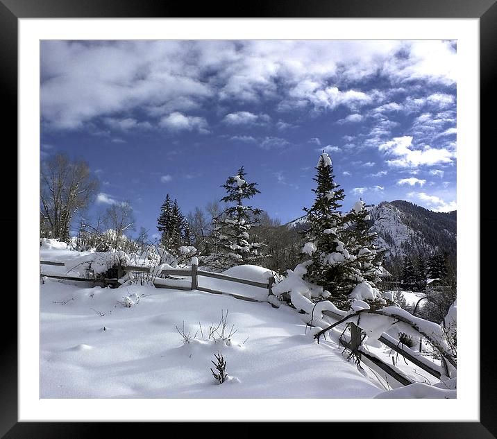 After the Snow Framed Mounted Print by Kim Hojnacki
