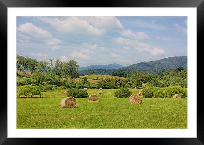 Hay Bales in Farm Field Framed Mounted Print by Kim Hojnacki