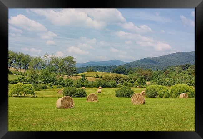 Hay Bales in Farm Field Framed Print by Kim Hojnacki