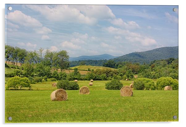 Hay Bales in Farm Field Acrylic by Kim Hojnacki