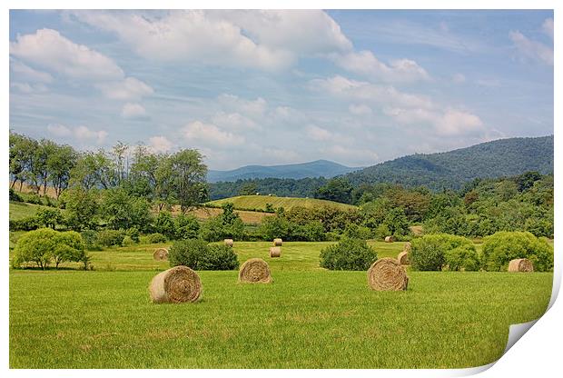 Hay Bales in Farm Field Print by Kim Hojnacki