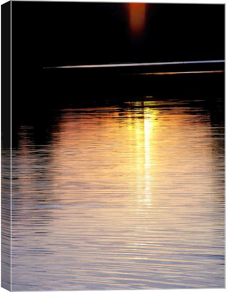 Sunset Streaks Canvas Print by Mary Lane