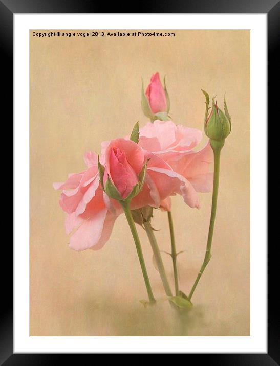 Blushing Pink Framed Mounted Print by angie vogel