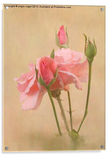 Blushing Pink Acrylic by angie vogel
