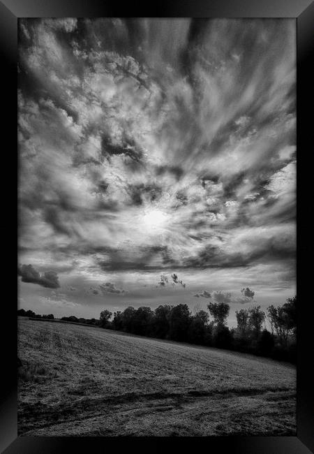 into the sun Framed Print by Jo Beerens