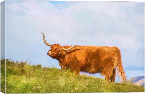 Highland Cow Watercolour Canvas Print by Chris Thaxter
