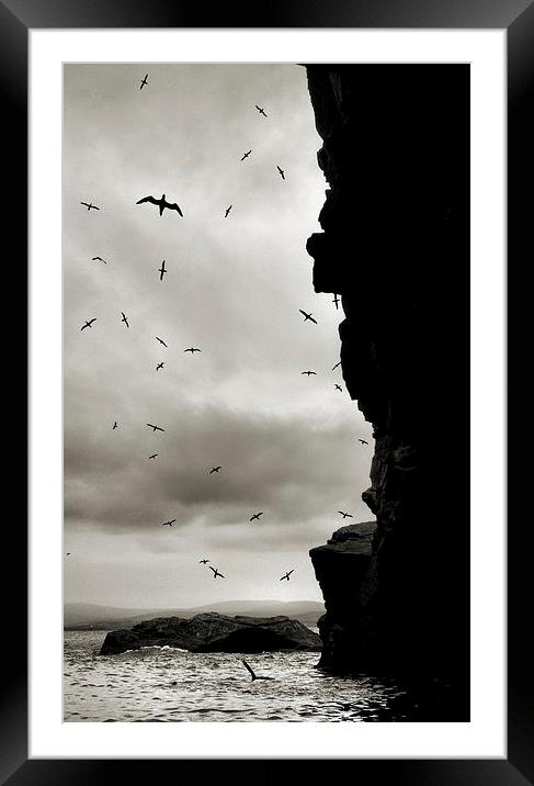 the bird cave Framed Mounted Print by Heather Newton
