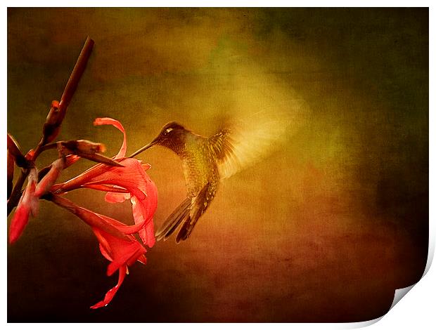 Wings In Motion Print by Anne Rodkin