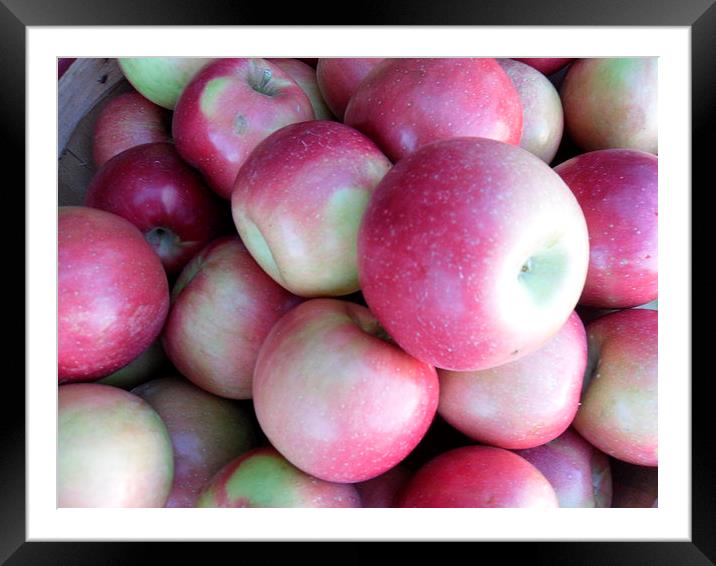 Apples Framed Mounted Print by Karla Cizerle