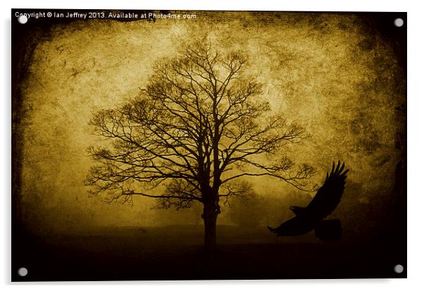 Misty Woodland Acrylic by Ian Jeffrey