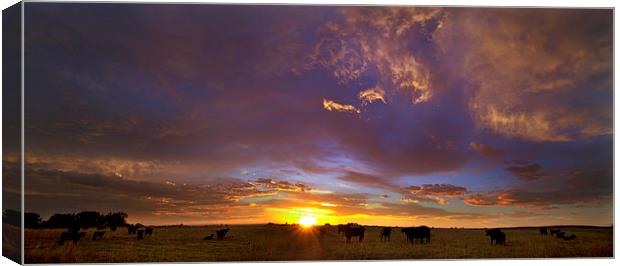A New Dawn Canvas Print by Steven Reed