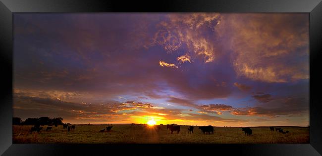 A New Dawn Framed Print by Steven Reed