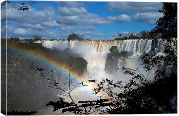 Rainbow at the Iguazu Falls Canvas Print by Daniel Gilroy