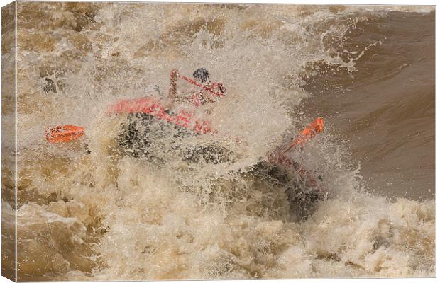 Rio Grande rafting Canvas Print by Steven Ralser
