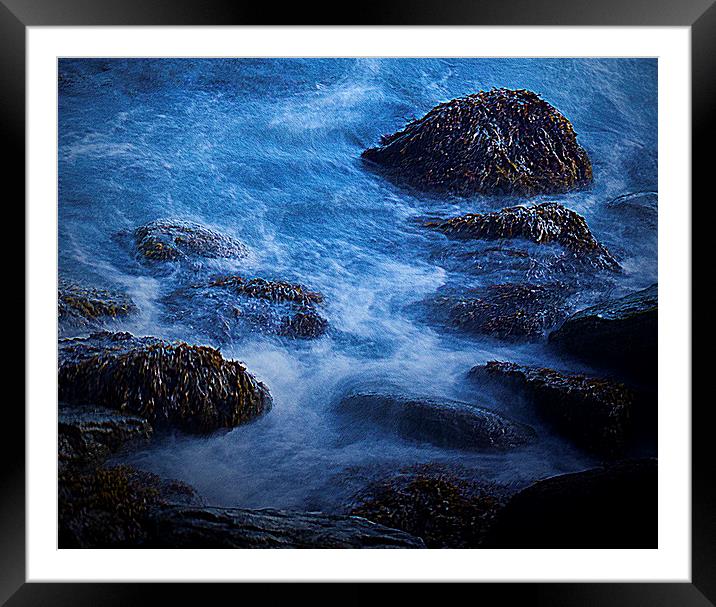 Clinging for life Framed Mounted Print by stewart oakes
