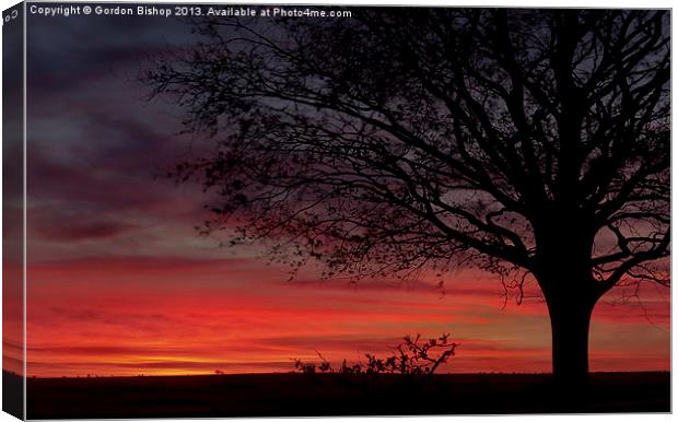 Sunset over the ridgeway, Oxfordshire. Canvas Print by Gordon Bishop