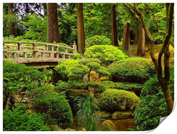 Wooden Foot Bridge at Japanese Garden Print by sharon hitman
