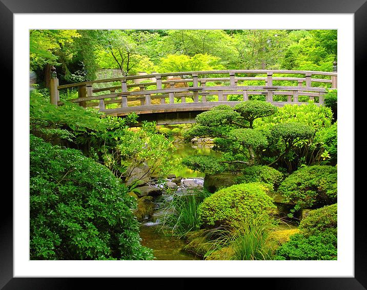 Footbridge over a stream at the Japanese Gardens Framed Mounted Print by sharon hitman