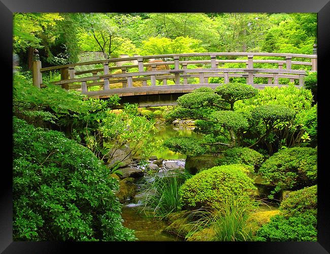 Footbridge over a stream at the Japanese Gardens Framed Print by sharon hitman