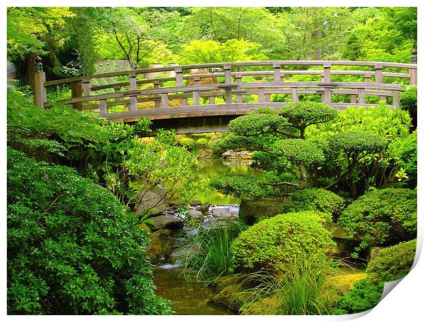 Footbridge over a stream at the Japanese Gardens Print by sharon hitman