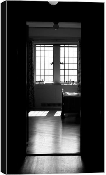 The Window Canvas Print by Barbara Bardzik