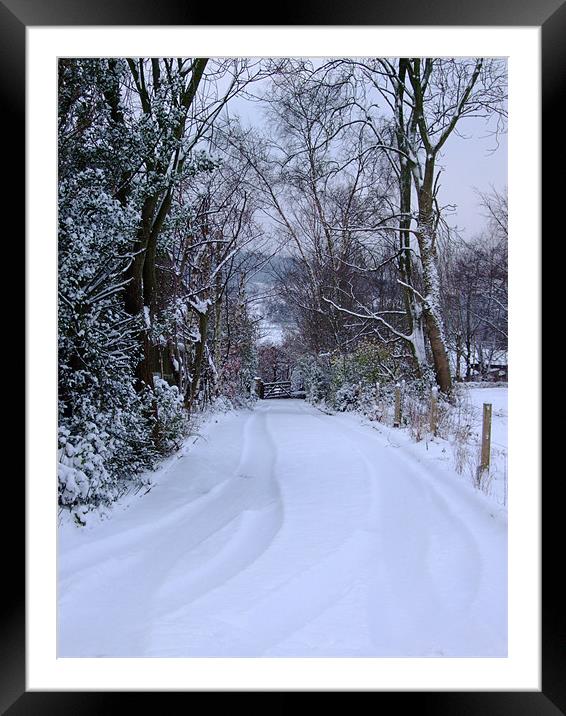 Tracks in the Snow Framed Mounted Print by Stephen Brown