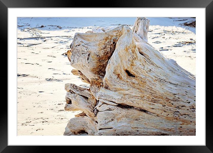 Driftwood Framed Mounted Print by Nicole Rodriguez